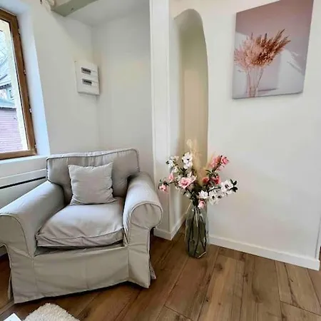 Apartmán Les Celestins *