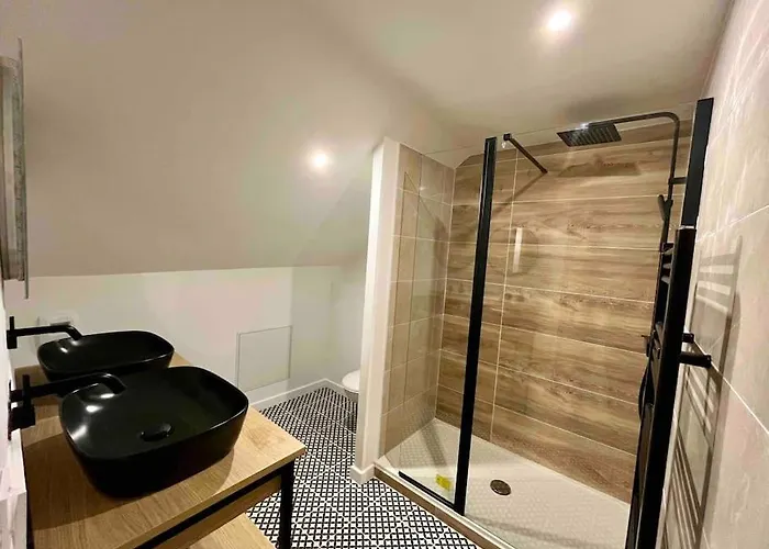 Les Celestins شقة