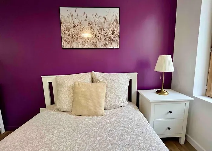 Les Celestins شقة *